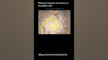 The fibonacci  sequence also known as golden ratio | Quantum Mechanics Info