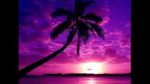 سورة الانفطار -الشيخ محمد المحيسني.flv