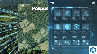 AI From Space: The Future of Deforestation Tracking