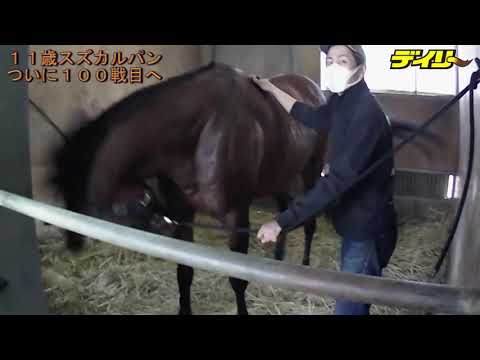 100戦目へスズカルパン「元気いい」