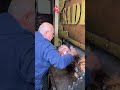 Erzurum çap kebabı