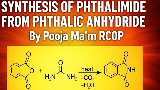 Synthesis of Phthalimide from Phthalic Anhydride | By Pooja Ma’am RCOP | B.Pharmacy 