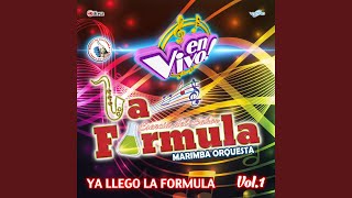 Mix Caminantes: Maria Elena / Teresita / La Guitarra y la Mujer / La del Moño Colorado (En Vivo) - La Fórmula Marimba Orquesta