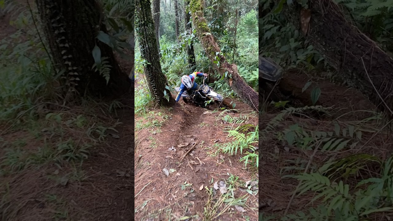 Meski terjatuh, harus tetap bangkit lagi! 