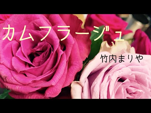 cover. カムフラージュ / 竹内まりや