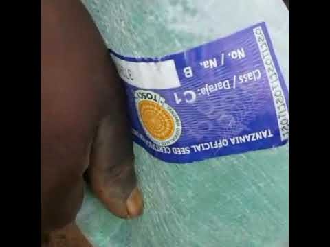 Seed Planter Mashine Ya Kupanda Mbegu Kama Mahindi Karanga Nk