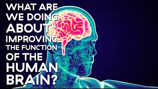 Adam Gazzaley - Director, Neuroscience Imaging Center | Near Future Summit