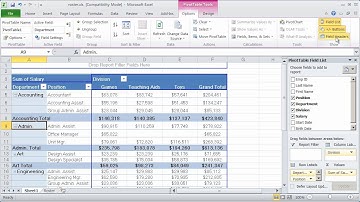 Working with Pivot Tables in Excel 2010 - Part 3