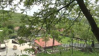 DIMINEATA LINISTITA IN LIVADA
