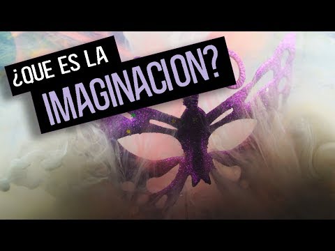 Vídeo: Com Definir La Imaginació