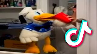 Donald Ducc tiktok compilation | Best Donald Ducc tiktok | Donald Duck tiktok by Saturn 20,616 views 2 years ago 20 minutes