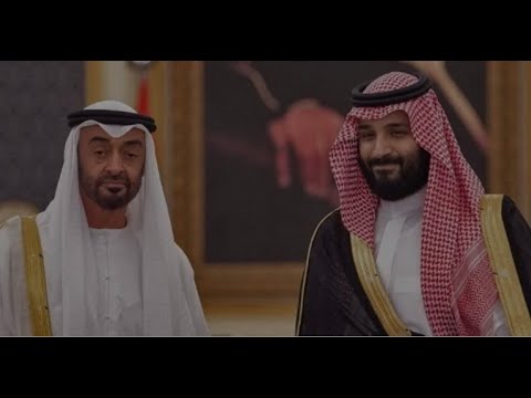1233 الدول في عصر الزحليقة الصراع السعودي الإماراتي غينيا بيساو
