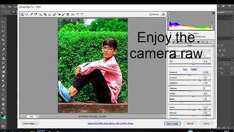 Enable camera raw filter in photoshop cs6