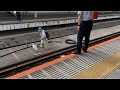 【緊迫したフル動画】【上野駅17番線 線路内人立ち入り発生の瞬間】線路内に人が侵入したので非常停止ボタンを押して駅員さん達と共に対応にあたるシーン（2025.6.1.9:03）