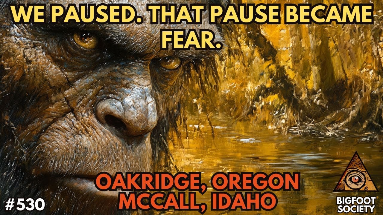 We Paused. That Pause Became Fear | Bigfoot Society 530