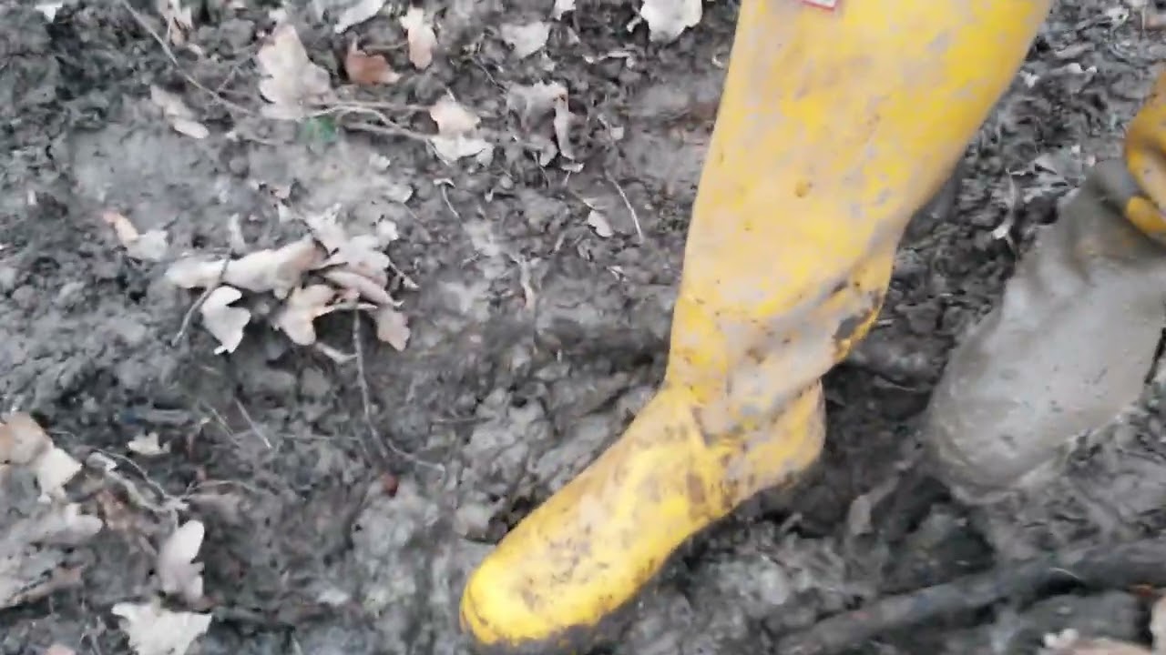230124 yellow Hunters walking forest #01