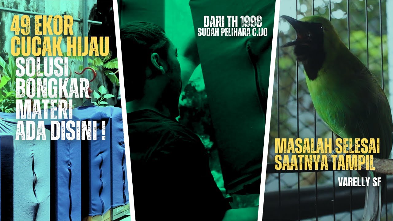 БОЛЬШЕ НИКАКОЙ ПУТАНИЦЫ С НАСТРОЙКОЙ CUCAK IJO, ЭТА ПРОБЛЕМА РЕШЕНА ЗДЕСЬ!