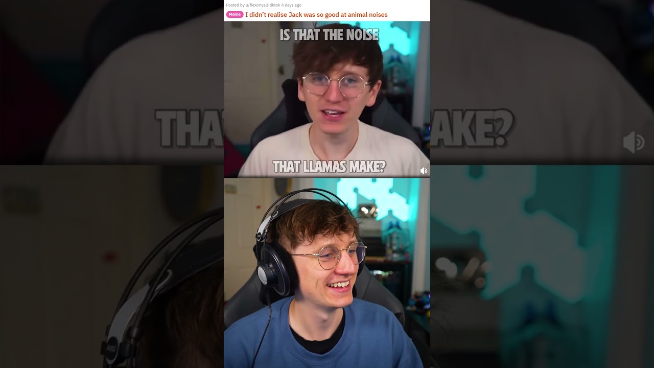 Is My Llama Impression Accurate? 