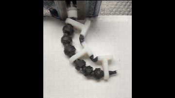 Time Lapse of Soft Robot Deflection