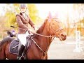 SOS || Equine Jumping Music Video