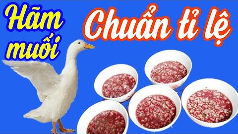 Cách hãm và đánh TIẾT CANH VỊT bằng MUỐI TRẮNG - Vlog bổ ích