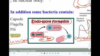 Review Bacterial structure & Properties