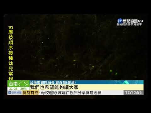 台南梅嶺螢火蟲 在家就能看得到! | 華視新聞 20200426