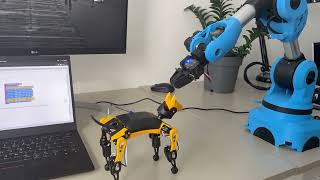 Demo JupyterLab-Niryo-One with Blockly