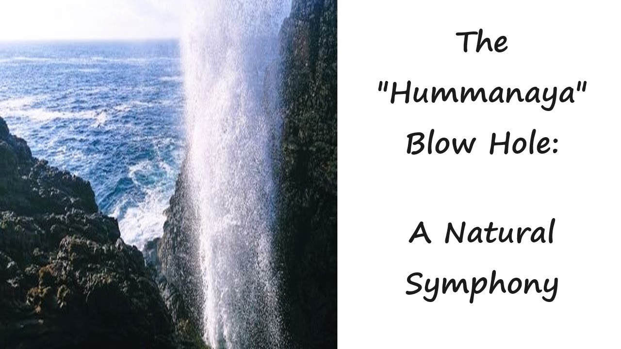 Hummanaya
