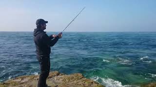 Catching fish on lures at Portland Bill