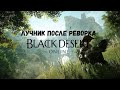 Лучник. Полный гайд после реворка. Black desert online.