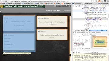 Intro to Blackboard Sandbox Custom CSS