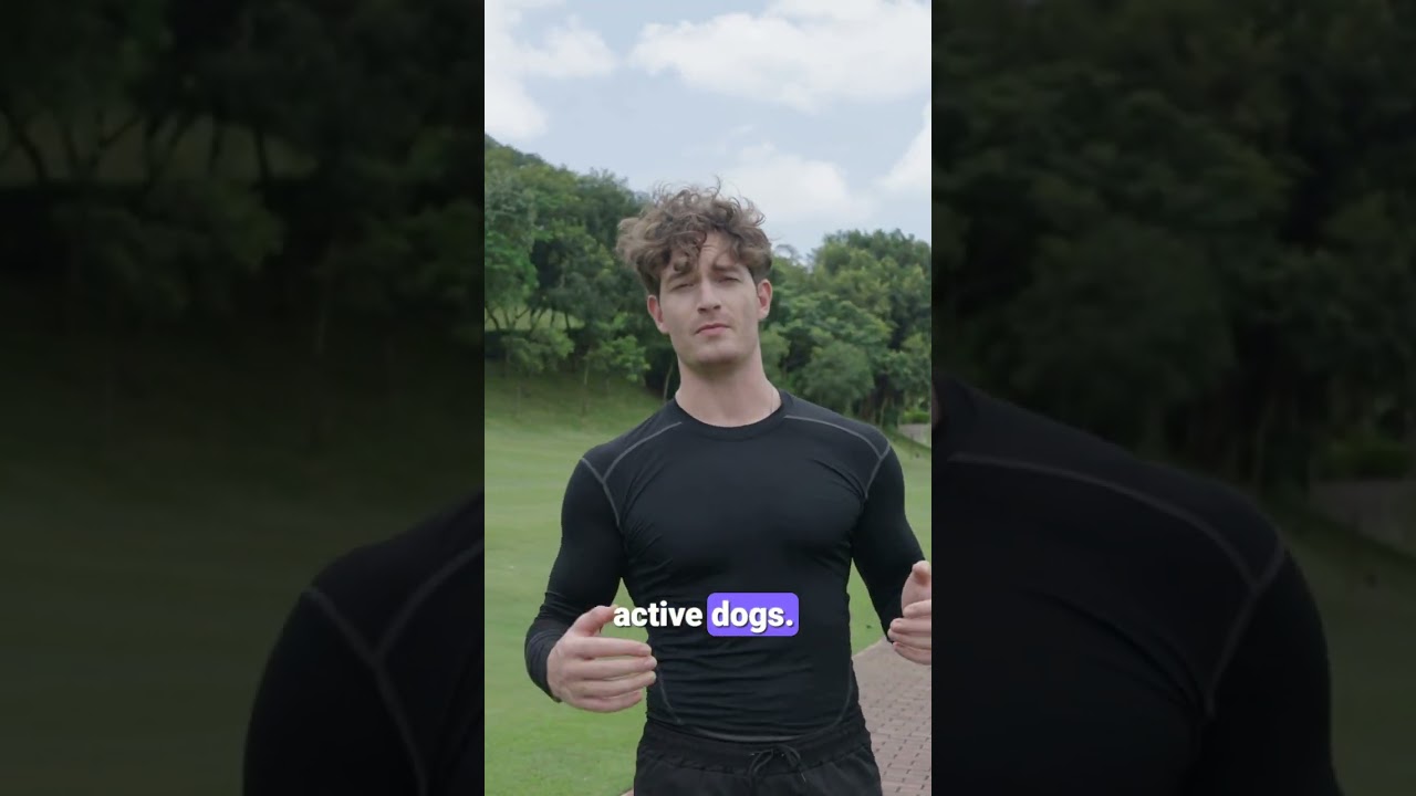 20in1 Dog Multivitamin Supplements  Immunity, Digestion, Joint and Heart Health