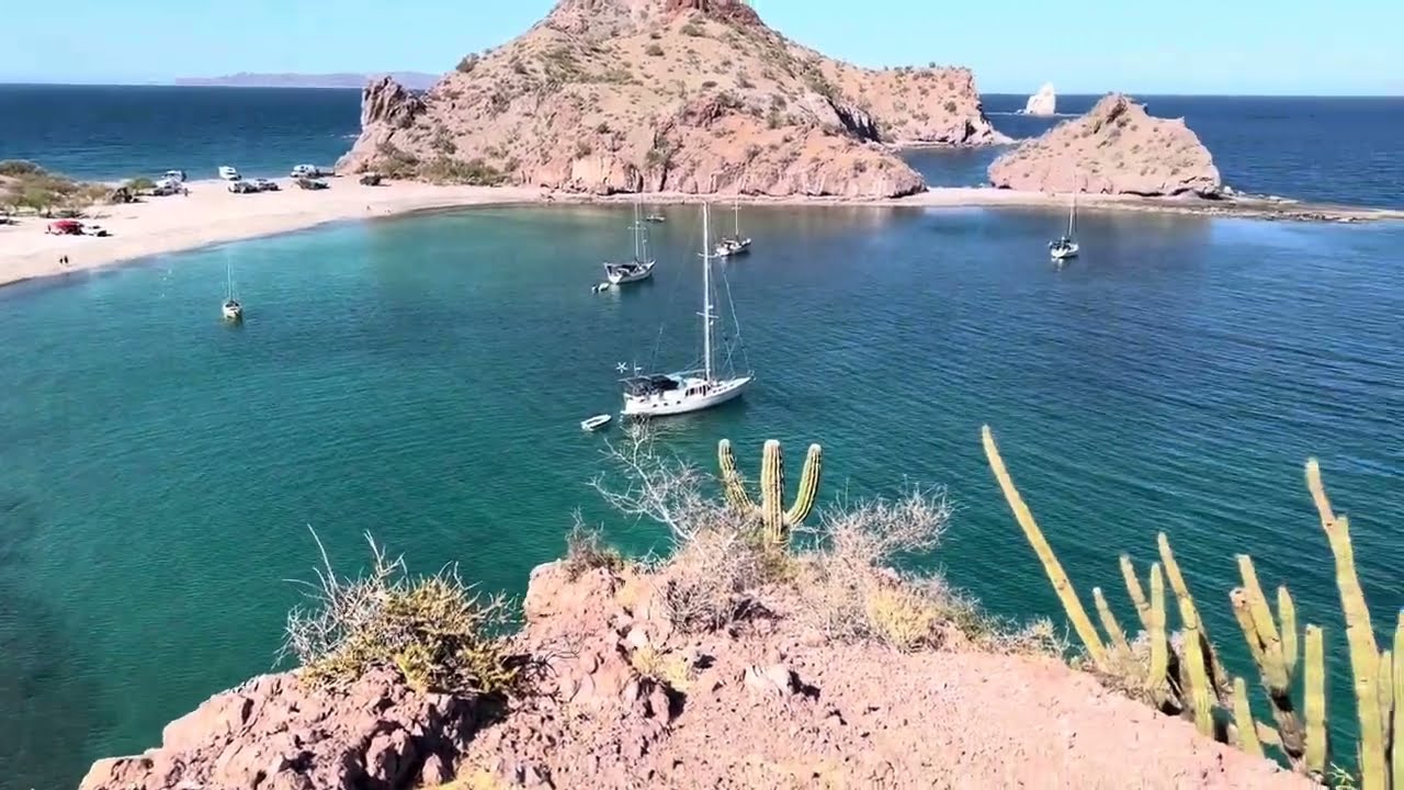 Señora Leonor tiene mi atencion con sus tacos de pescado  !