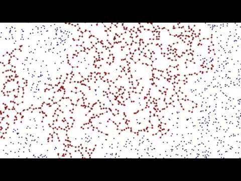 Prims Algorithm visualised (via Processing)