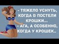 В постели крошки... Сборник Веселых жизненных анекдотов! Приколы! Позитив!