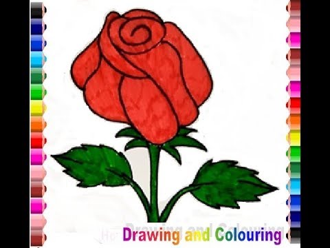 Drawing Colouring Rose Gambar Bunga Mawar Youtube 3d