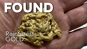 Striking Huge Gold in the Danger Zone! Epic Rainforest Nugget Hunt 🎯🌿