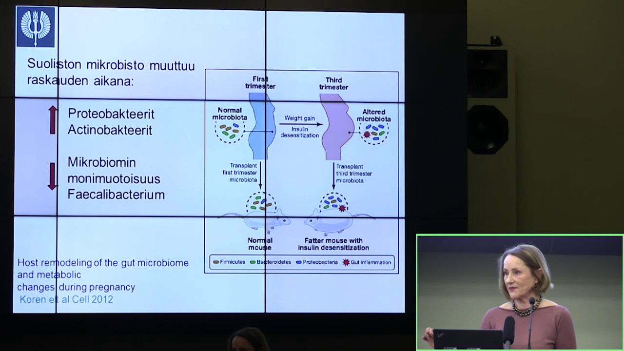Erika Isolauri: Kommentti. Ihmisen mikrobiomi ja ei-tarttuvien tautien riski