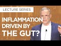 The Gut As A Driving Force of Inflammation