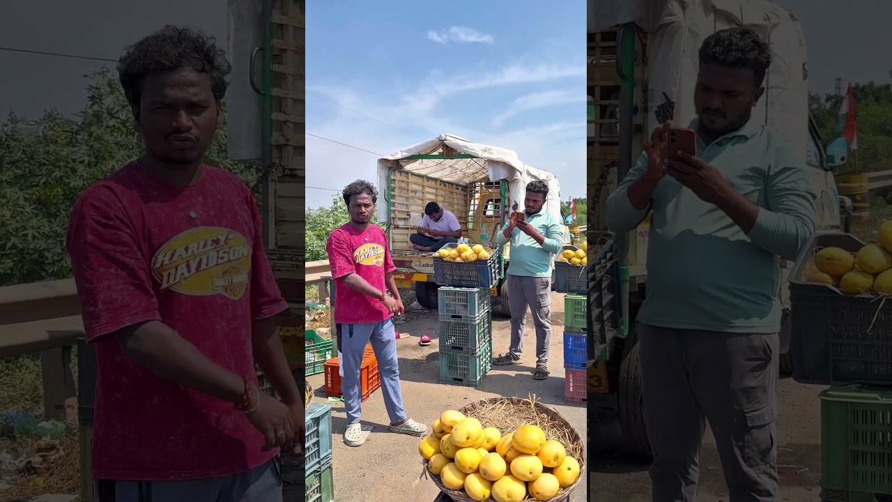 Mangoes season e year 2 months back vachasindhi 