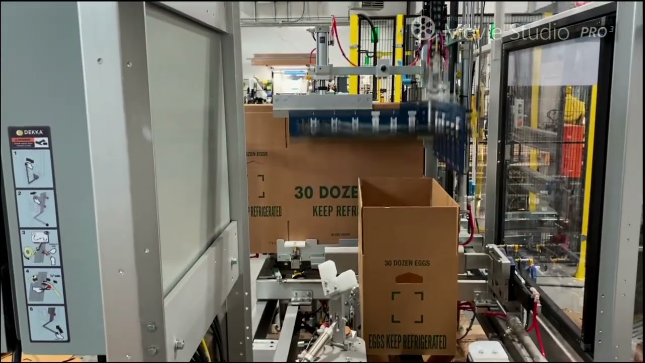 WF 20 Automatic Case Erector