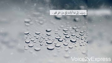سورة القصص - المصحف المرتل