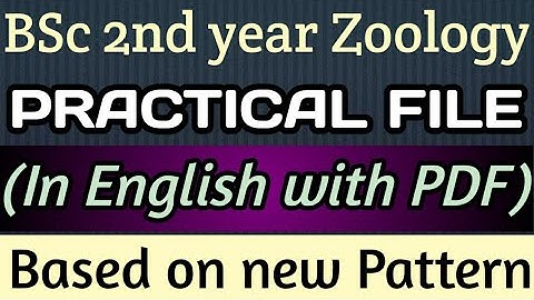 BSc 2nd year zoology practical file in English with pdf #bsc2023