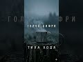 ГОЛОС ЦИФРИ ТИХА ХОДА Official Audio 