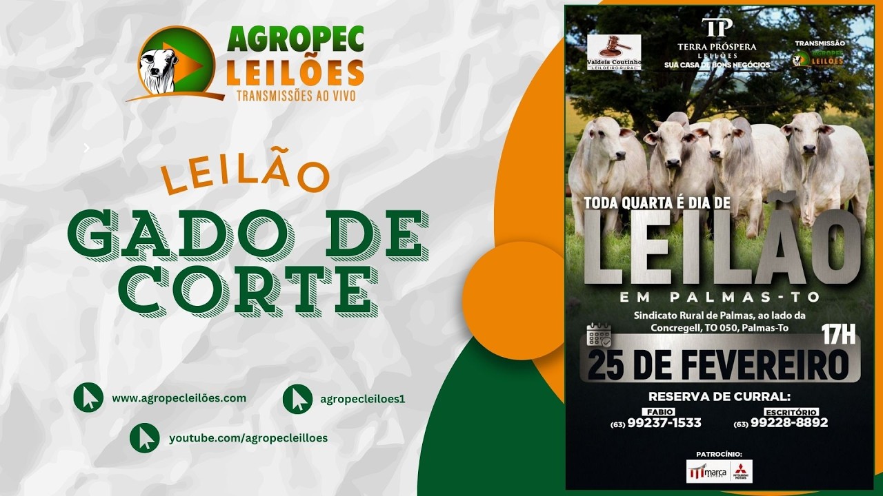 agropecleiloes LEILÃO ESPECIAL GADO DE CORTE | TERRA PRÓSPERA LEILÕES-FILIAL PALMAS-TO 25/02/2026