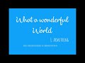 What a wonderful world larmstrong  boite  musique