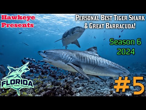 Ultimate Fishing Simulator S6 #5 - Florida DLC: Personal Best Tiger Shark & Great Barracuda!
