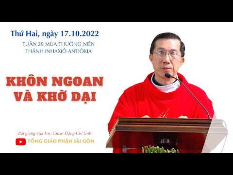Video Khôn ngoan và khờ dại - Lm. Giuse Đặng Chí Lĩnh - youtube