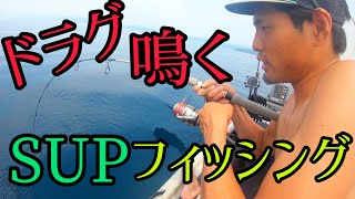 【限界突破】10kg超⁉︎これがサップフィッシングだ‼︎